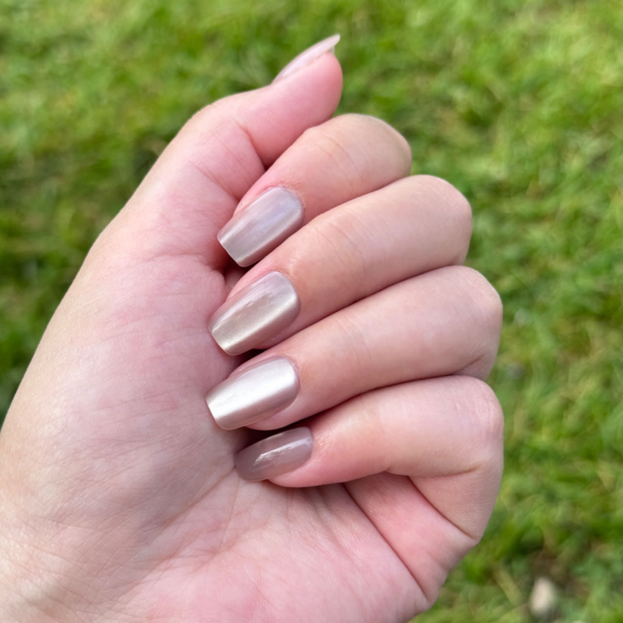 Shimmering Taupe